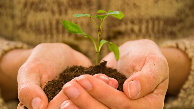 Ενδιαφέρον για τη σταδιοδρομία