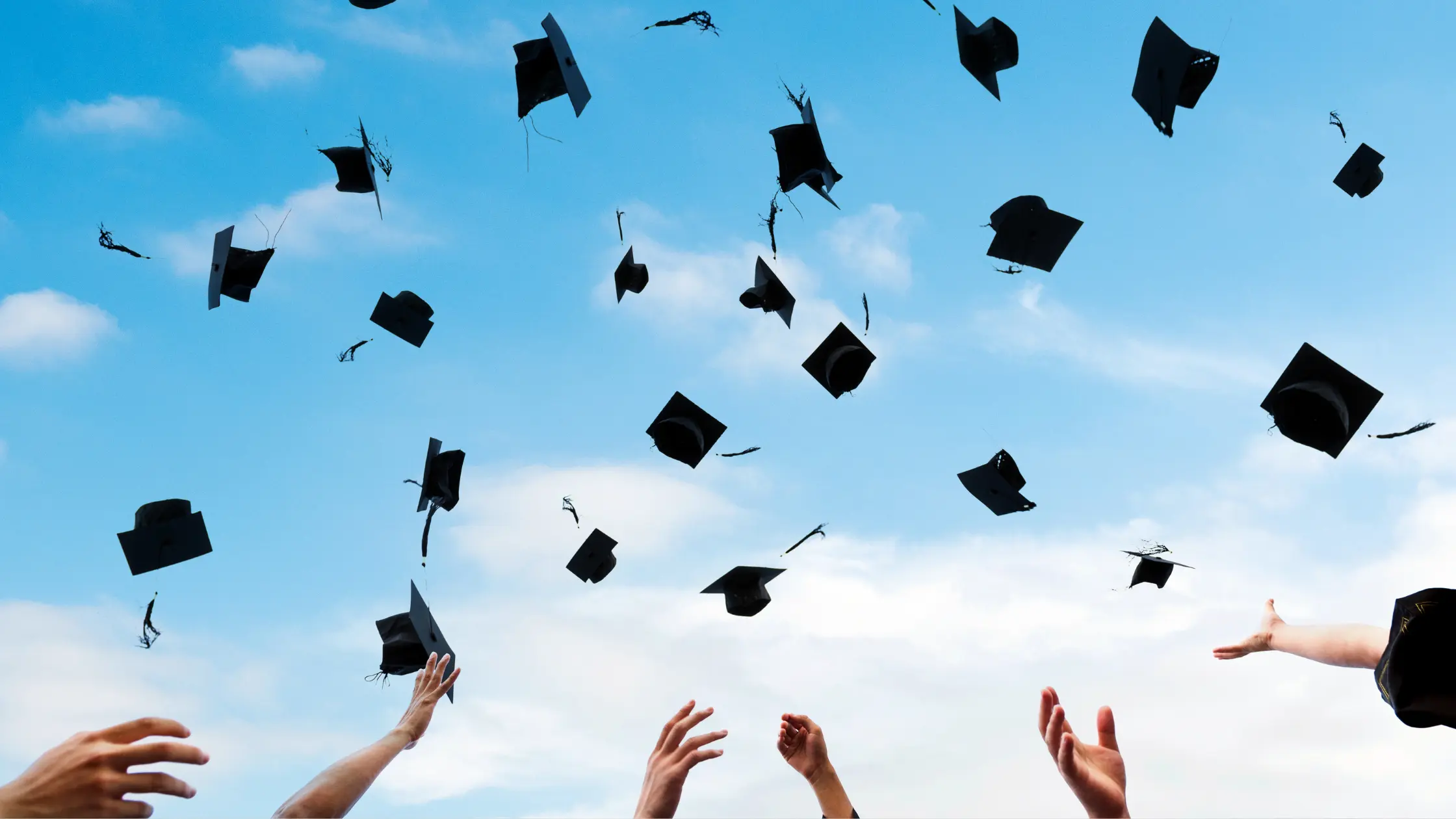 Επαγγελματικός Προσανατολισμός αποφοίτων